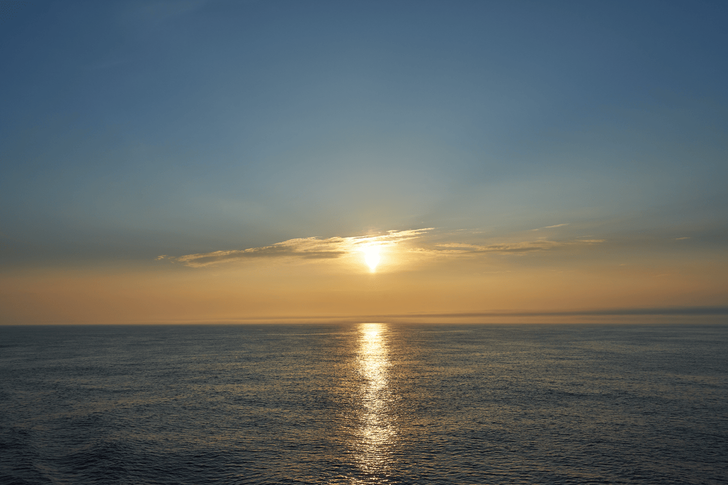 テキストテキストテキスト