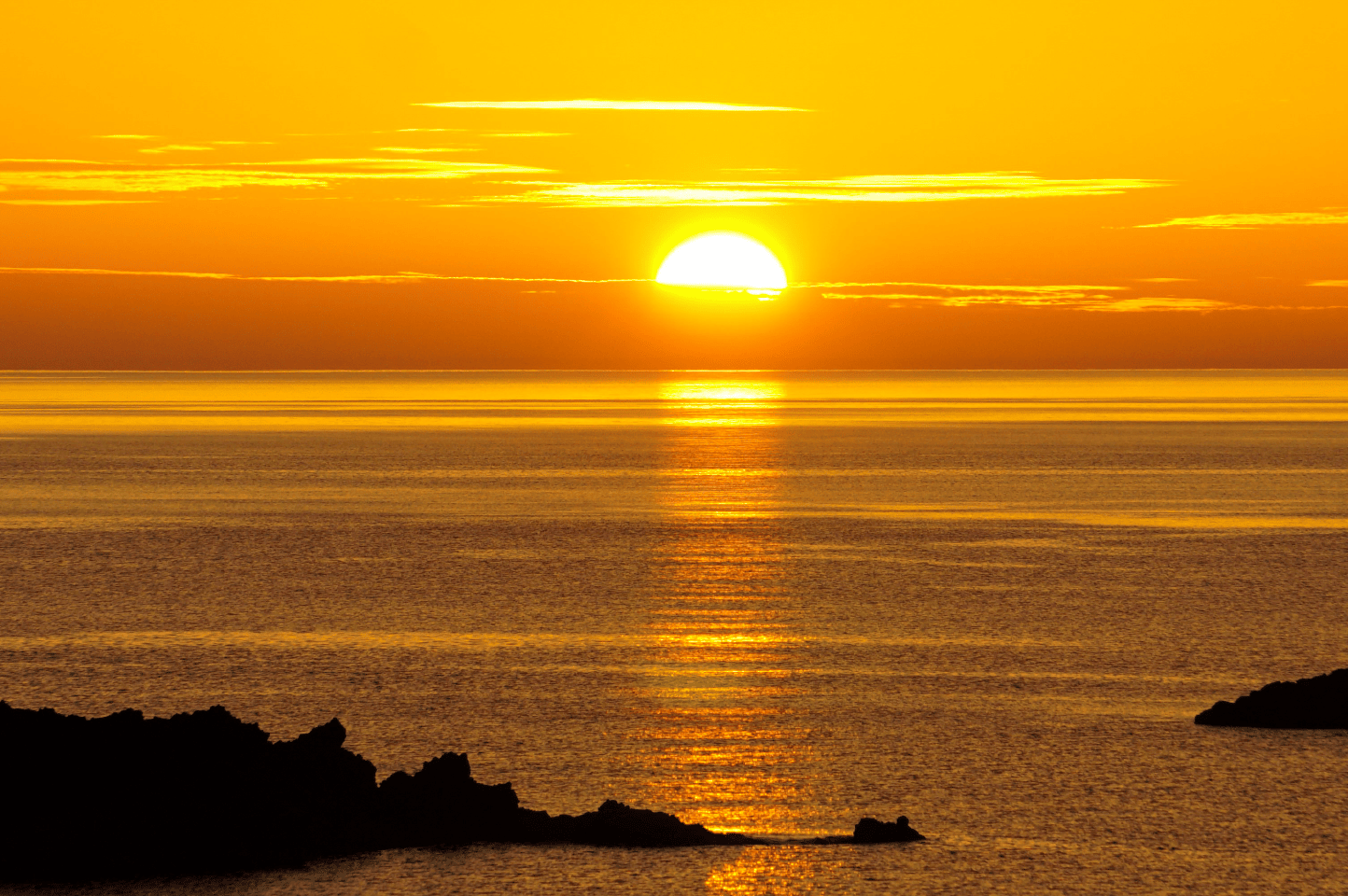 テキストテキストテキスト