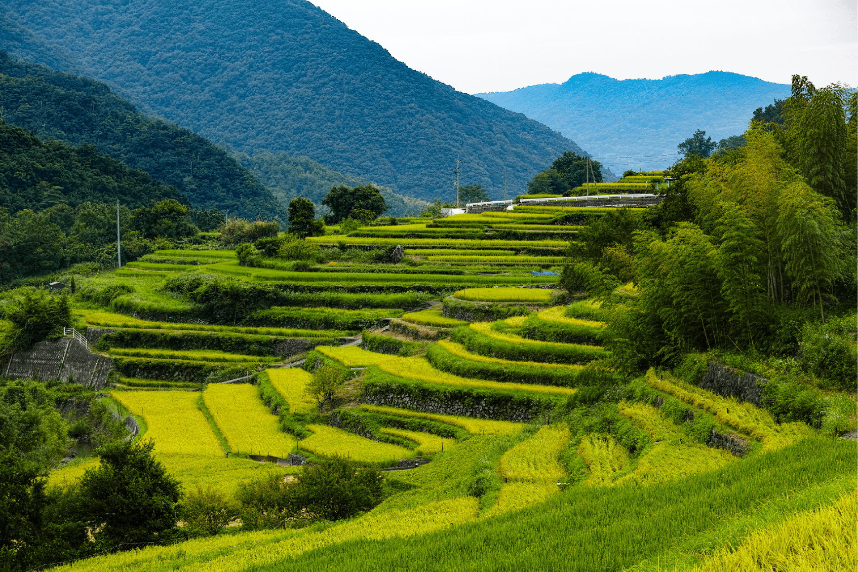 テキストテキストテキスト